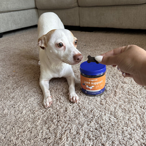 Customer Review Image