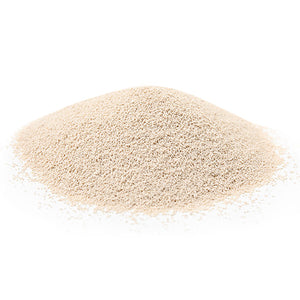 2 Strain Probiotic Blend